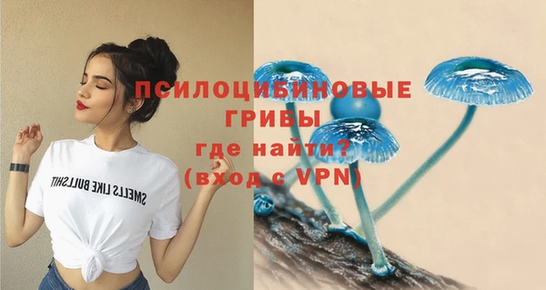 МДПВ Коряжма