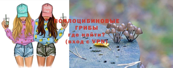 МДПВ Коряжма