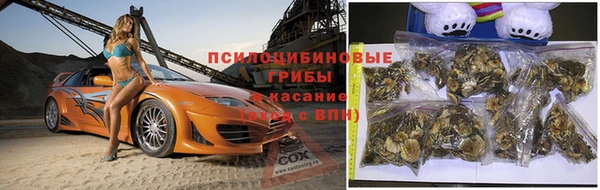 МДПВ Коряжма